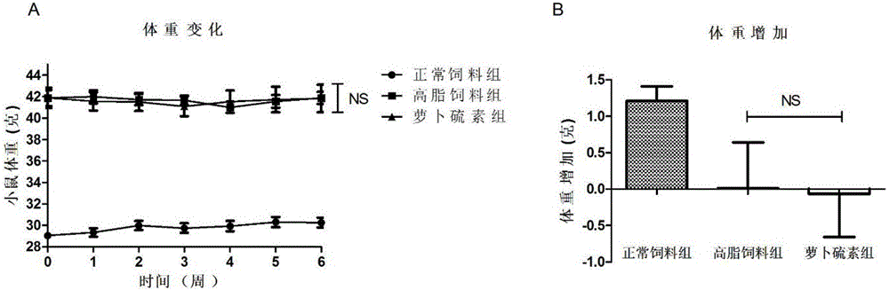 Liver protection effect and application of sulforaphen in non-alcoholic fatty liver