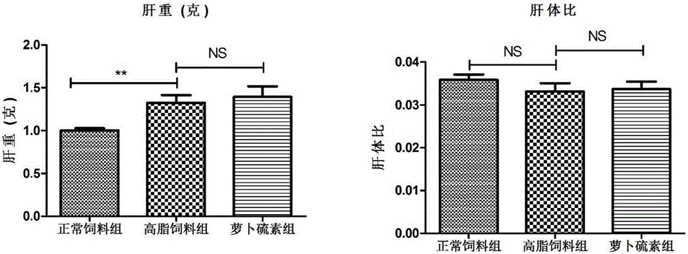 Liver protection effect and application of sulforaphen in non-alcoholic fatty liver