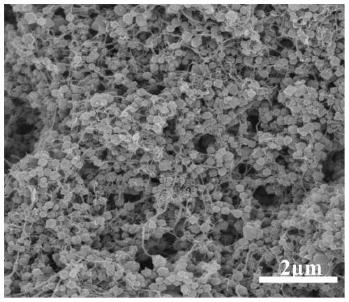 Preparation method of metal-organic framework carbon nanotube hybrid desalination electrode