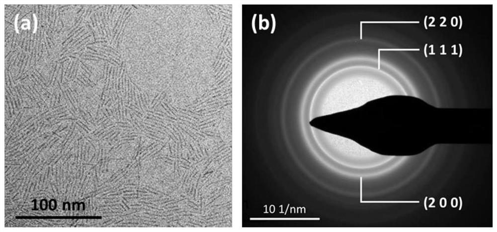 A carbon-supported platinum-cobalt-rhodium nanorod catalyst for acidic hydrogen evolution reaction and its preparation method and application