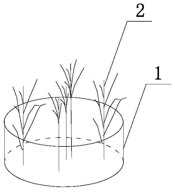 A corrosion-resistant carbon fiber artificial water grass brick and its preparation method