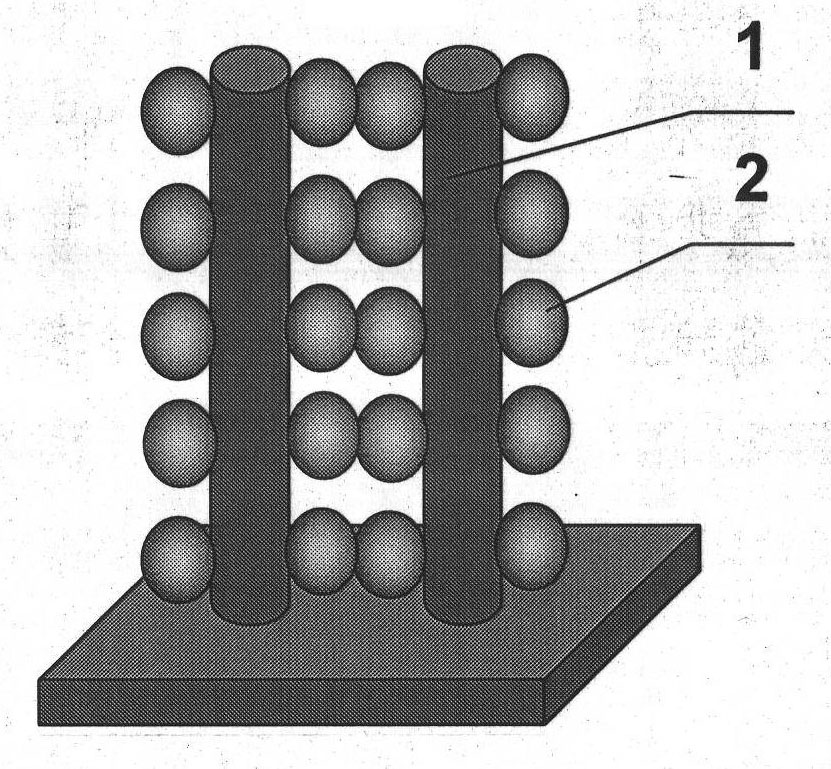 Silicon nano wire-fullerene complex cathode material for lithium ion battery and preparation method thereof