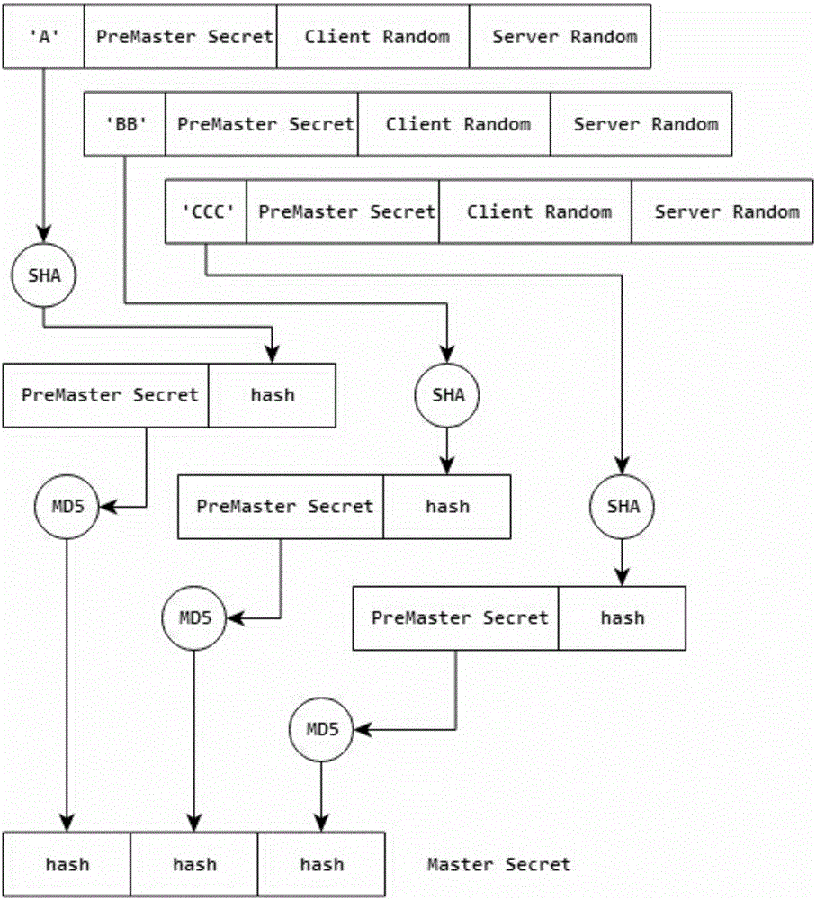 Method and system for bypass audit of HTTPS data packets