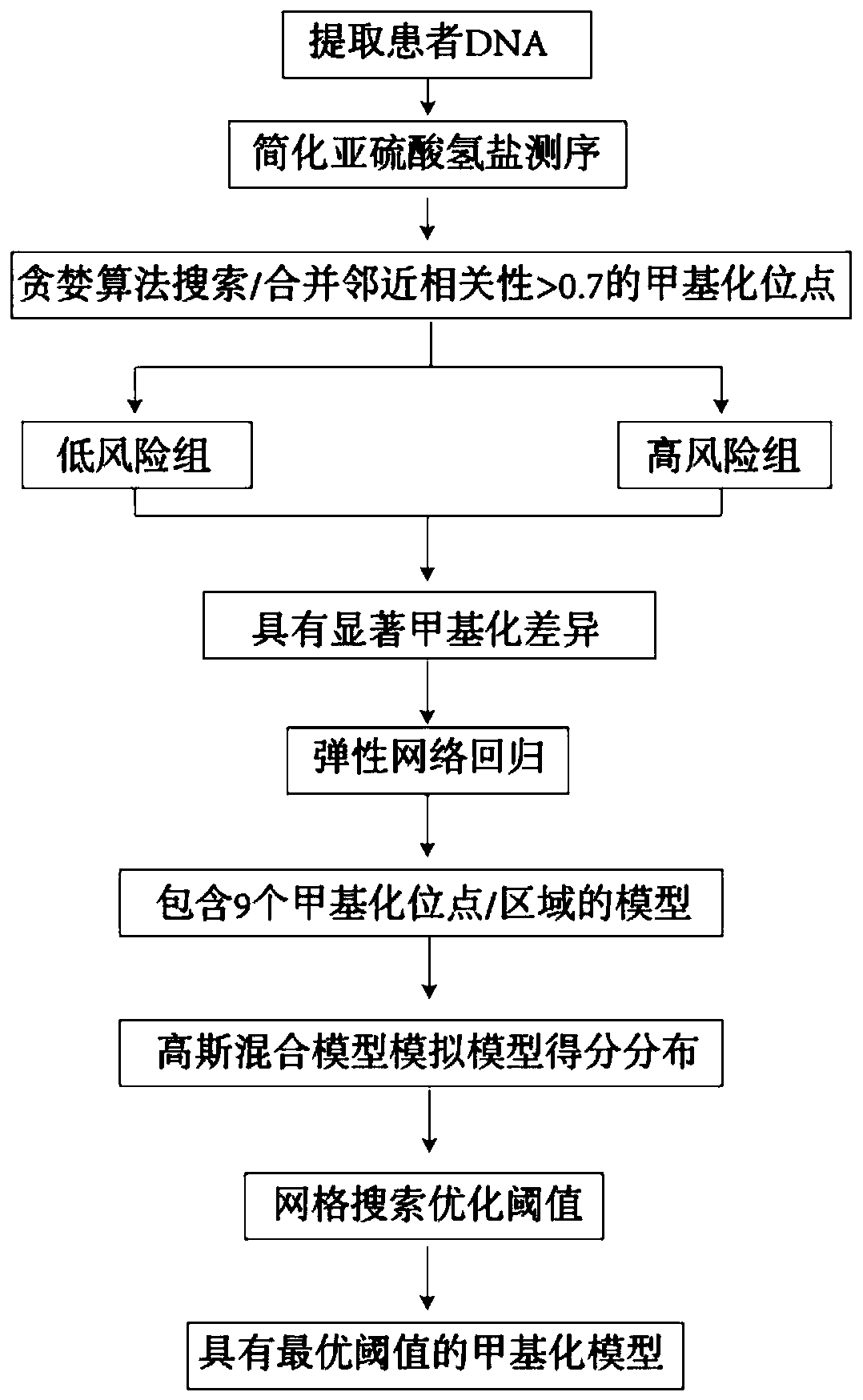 Early non-small cell lung cancer recurrence model construction method based on DNA methylation