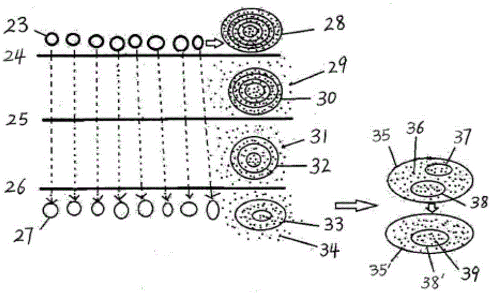 Compounds encapsulated nanoparticles and nanoemulsions preparation and use thereof