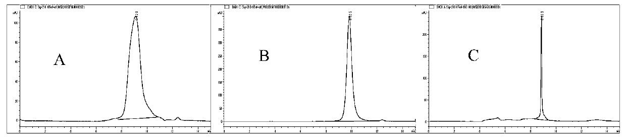 Gangmegen polysaccharide and its use in the preparation of anti-complement drugs