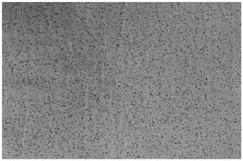 Cigarette paper with tobacco leaf fragments and tobacco leaf powder attached to the surface and its preparation method