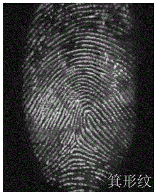 Method of appearing and storing latent fingerprints on basis of semiconductor polymer quantum dots