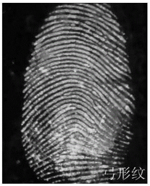 Method of appearing and storing latent fingerprints on basis of semiconductor polymer quantum dots