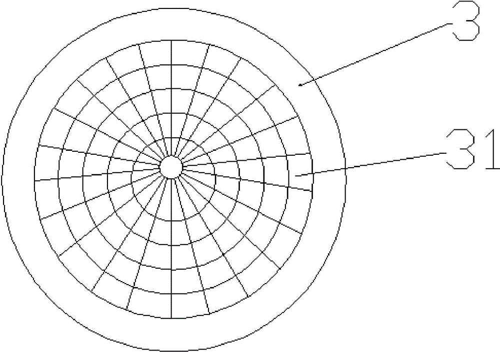 Water pool water outlet obstruction prevention apparatus