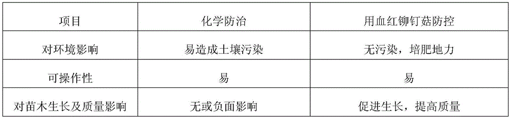 Methods for preventing and controlling damping off of pine seedlings through Chroogomphus rutilus