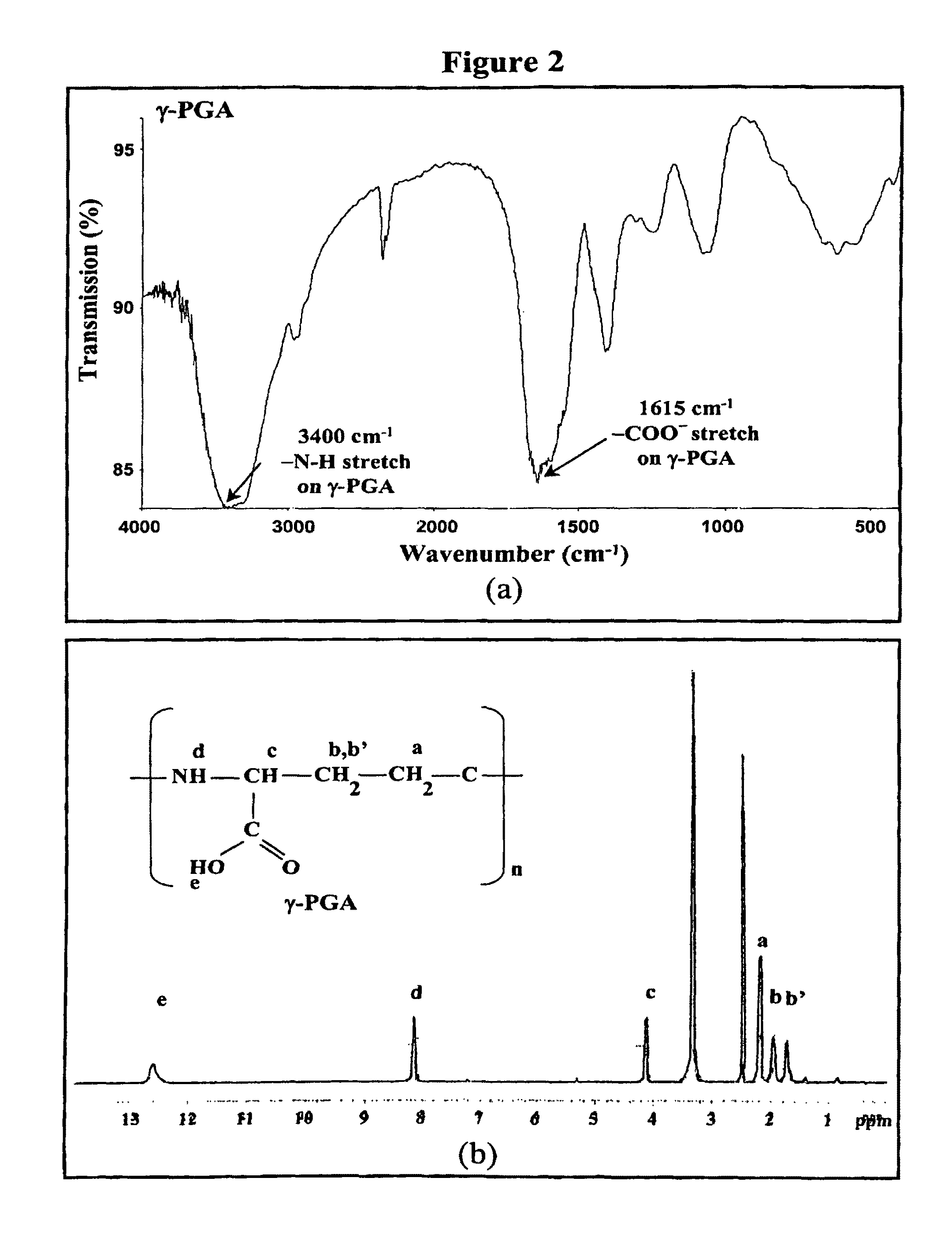 Nanoparticles for protein drug delivery