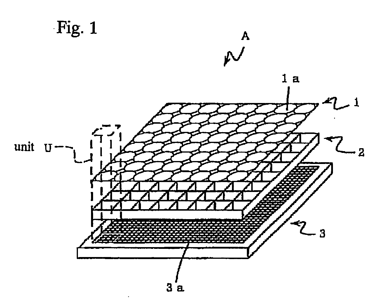 Image input device