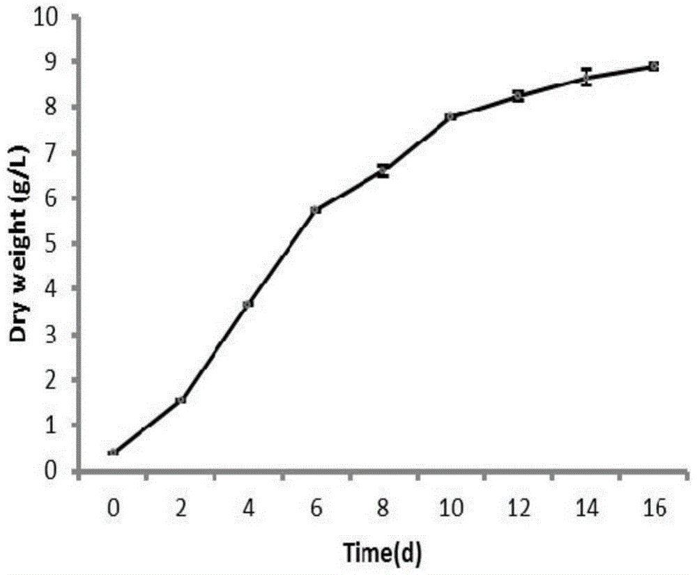 A high-yield oil lotus garden green coccus and its application