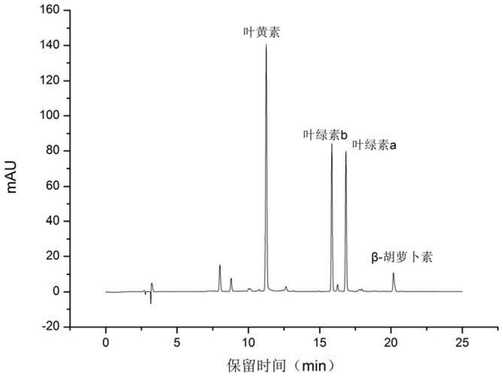 A high-yield oil lotus garden green coccus and its application