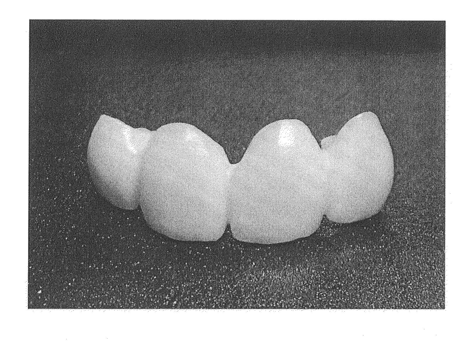 Method for producing artificial teeth