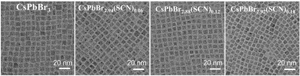 Preparation method of inorganic perovskite nanocrystal based on thiocyanate doping