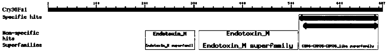 Insecticidal protein HY131c capable of resisting brown plant-hopper as well as encoding gene and application thereof