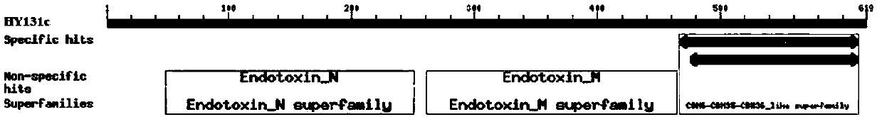 Insecticidal protein HY131c capable of resisting brown plant-hopper as well as encoding gene and application thereof