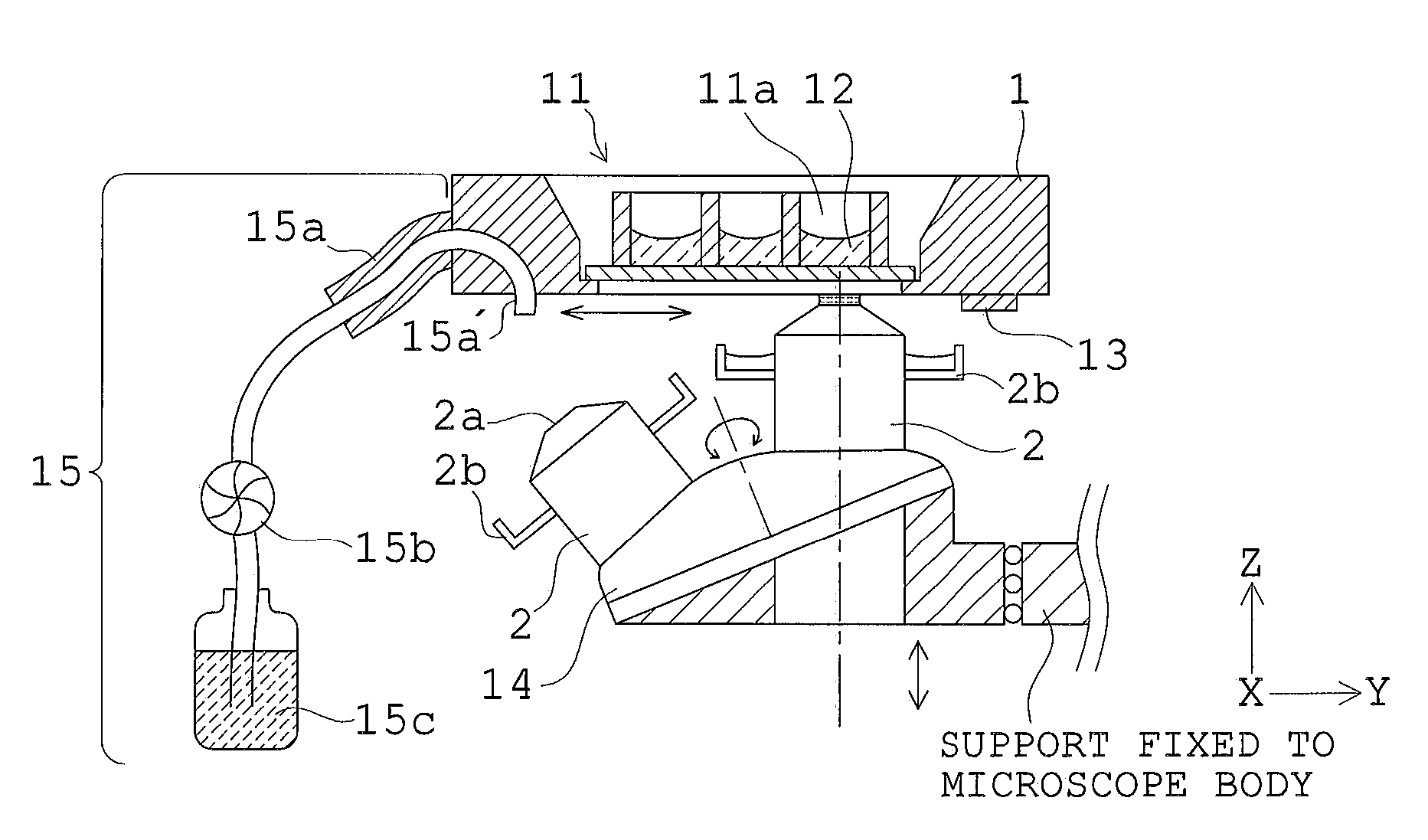 Observation apparatus provided with immersion objective lens