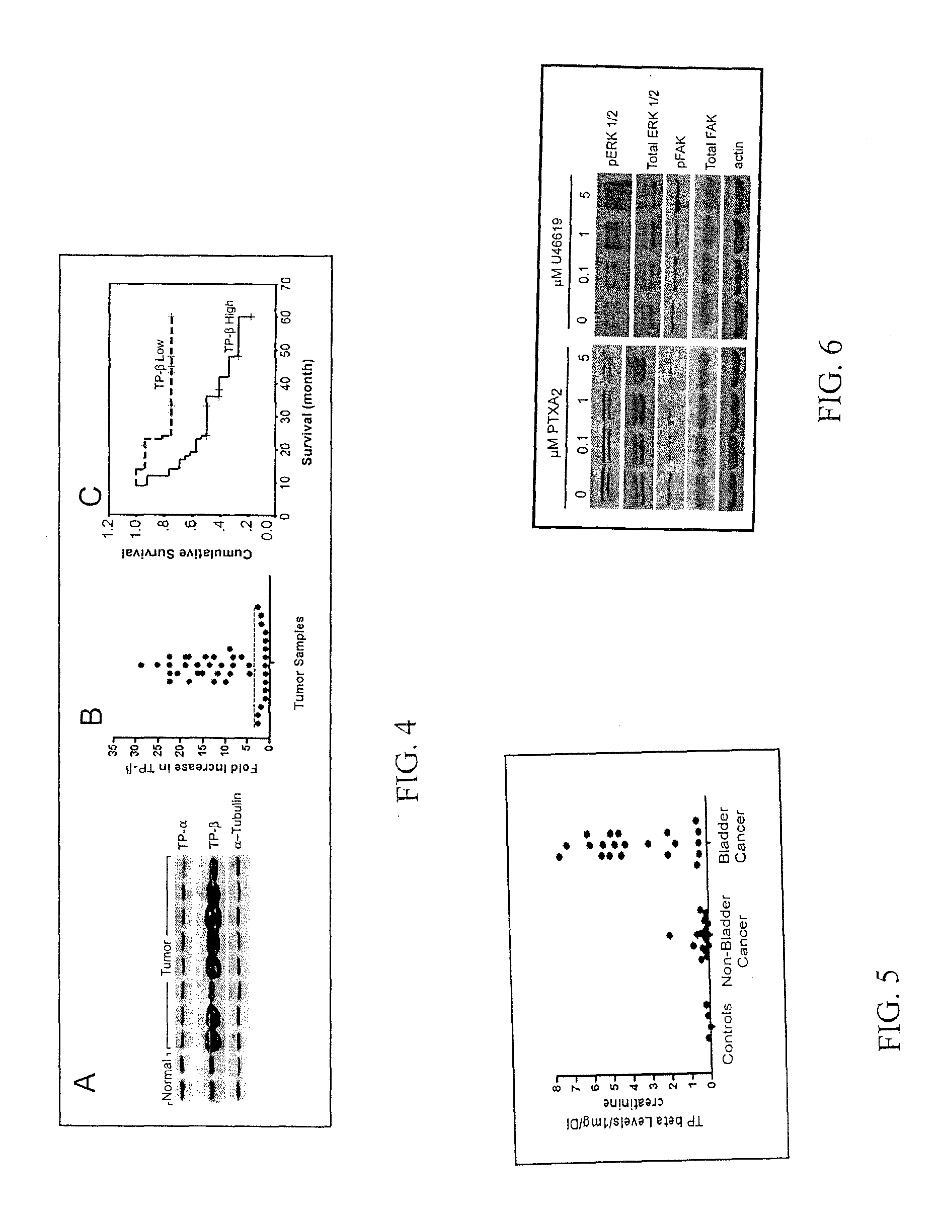 Methods for the Treatment of Cancers