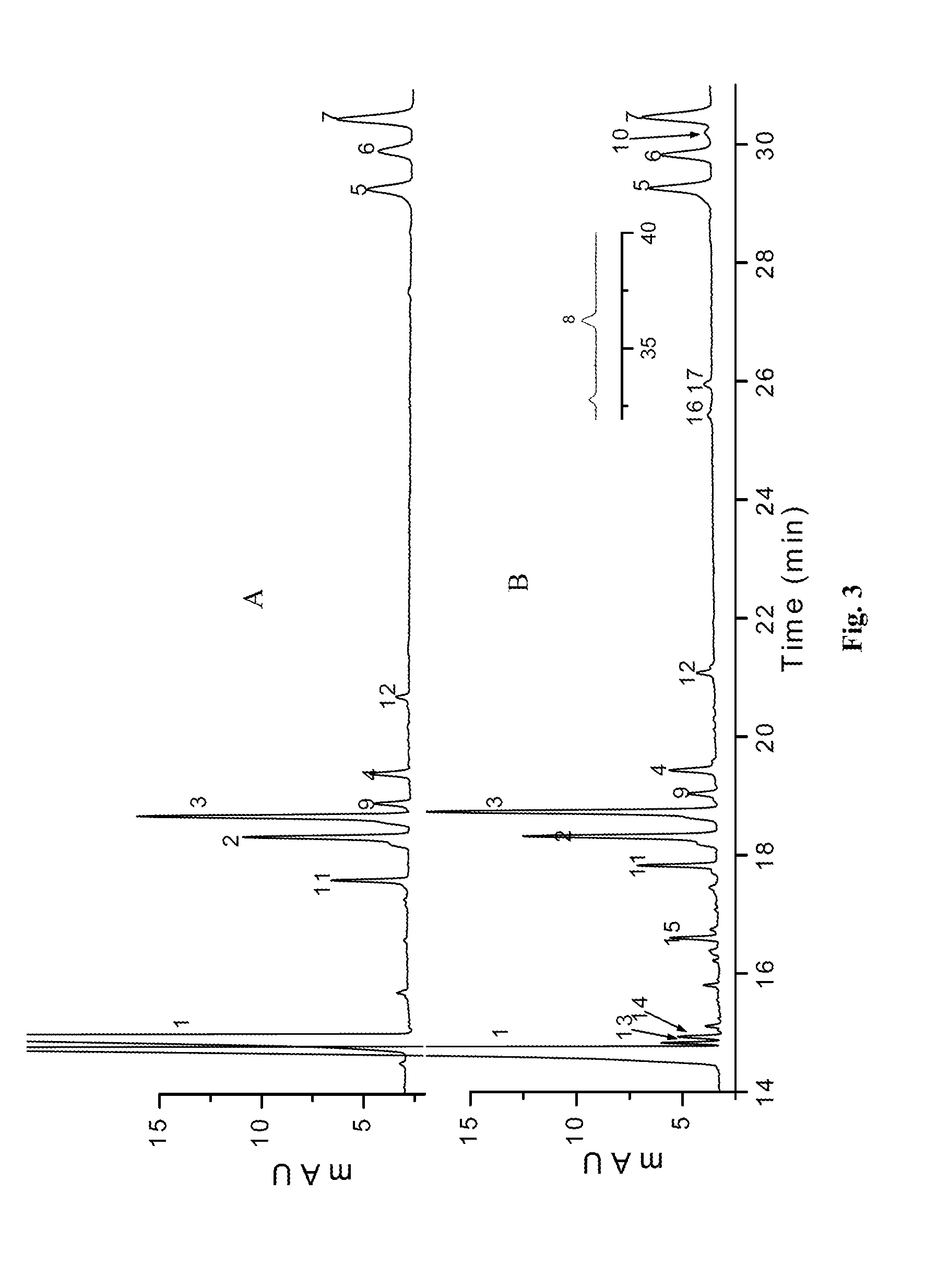 Capillary Electrophoresis Method for Fine Structural Analysis of Enoxaparin Sodium