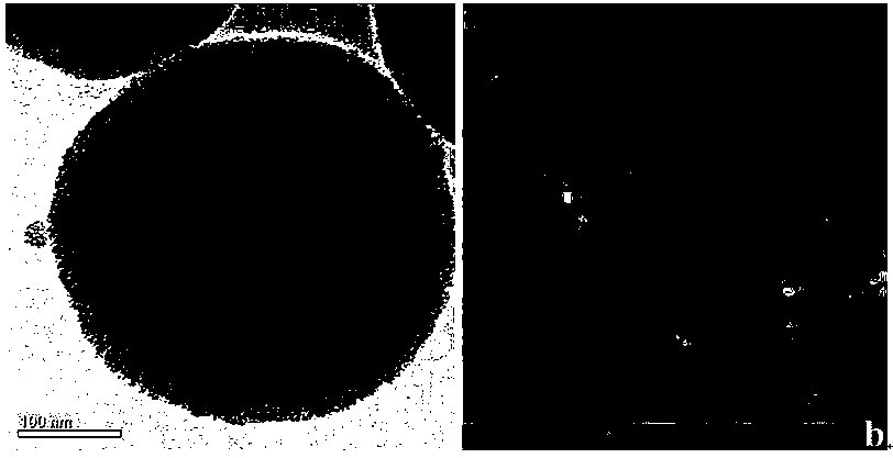 Peptide identification method by using mesoporous silica composite combined with mass spectrum