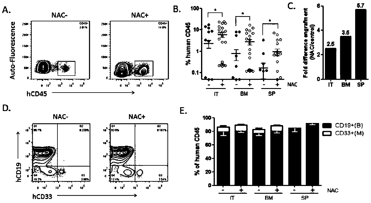 A method for constructing an immunodeficiency mouse transplantation model of human stem cells