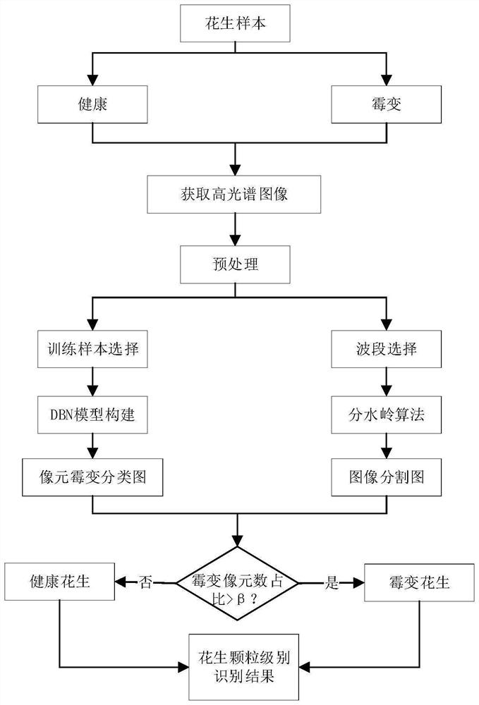 Method for identifying mildewed peanuts through near-infrared hyperspectral image based on deep learning algorithm