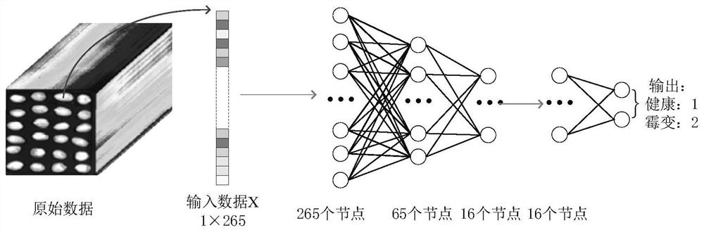 Method for identifying mildewed peanuts through near-infrared hyperspectral image based on deep learning algorithm