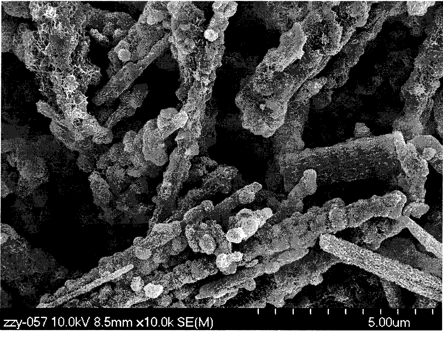 Ceramic whisker/ferromagnetic metal composite wave-absorbing material and preparation method thereof