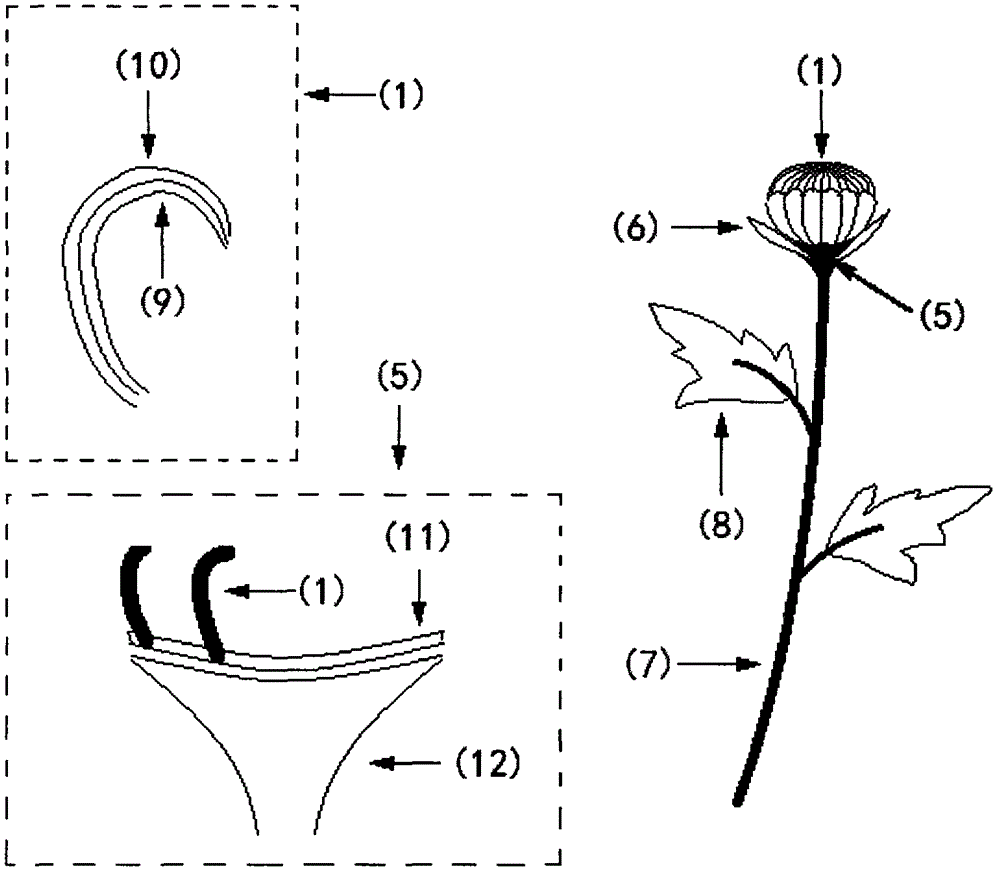 Artworks, valuables and jewelries with blooming effect realized by utilizing thermal expansion and contraction principle