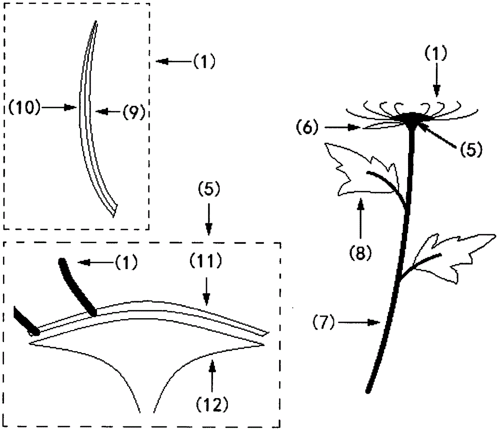 Artworks, valuables and jewelries with blooming effect realized by utilizing thermal expansion and contraction principle