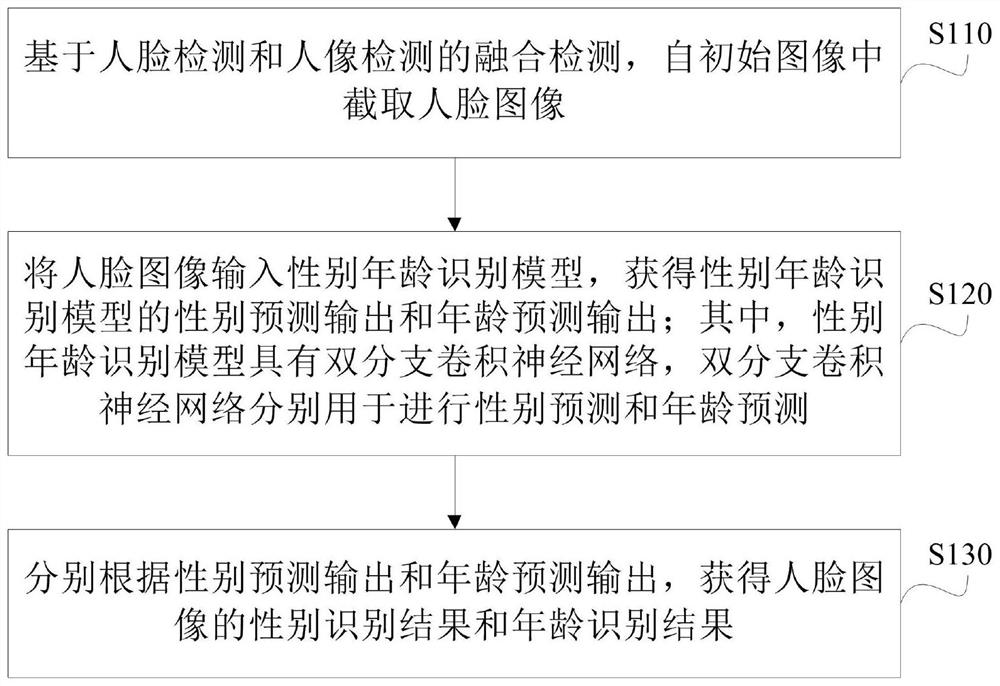 Face gender and age recognition method and device, electronic equipment and storage medium