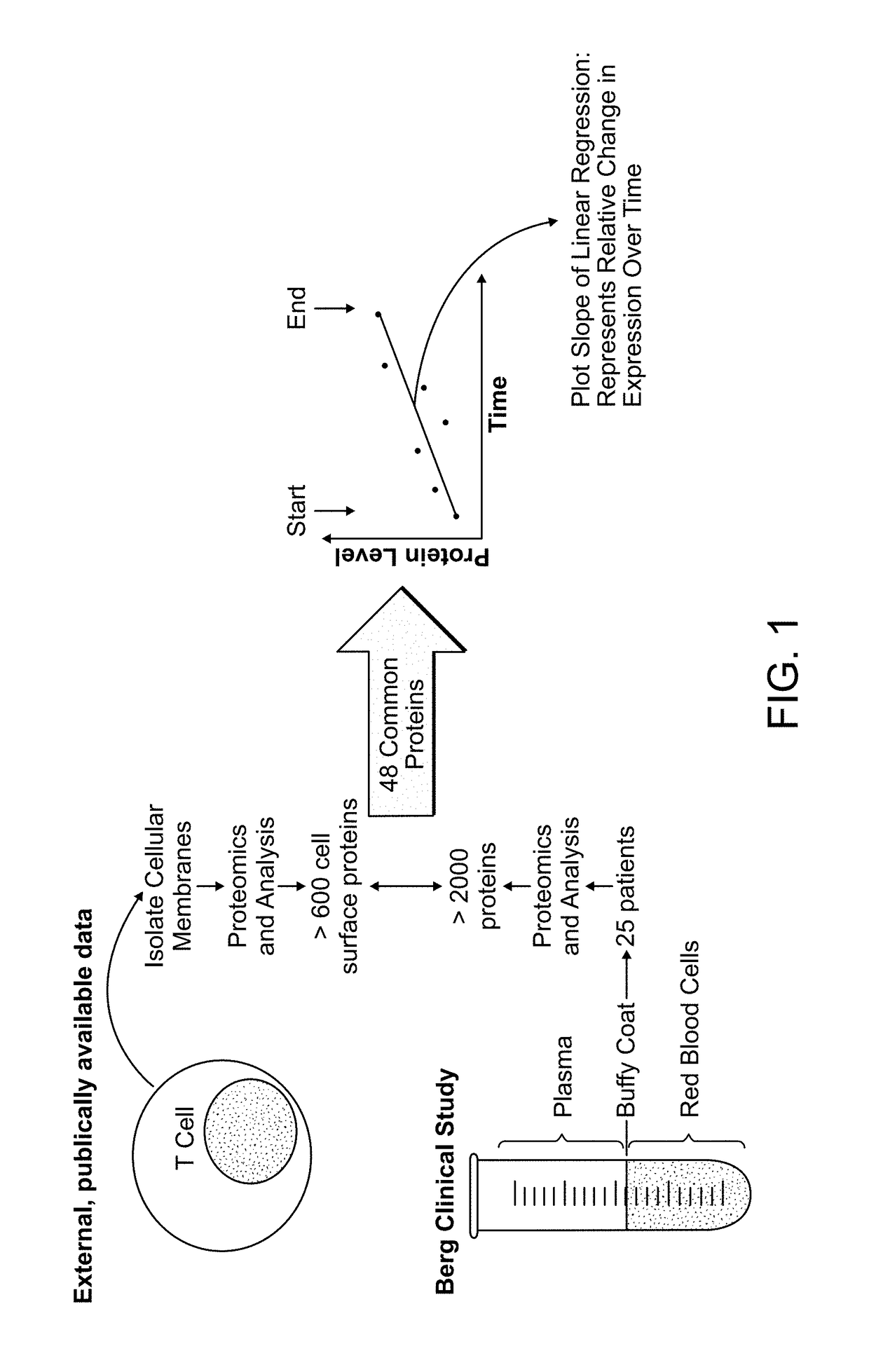 Methods for the treatment of cancer using coenzyme q10 in combination with immune checkpoint modulators