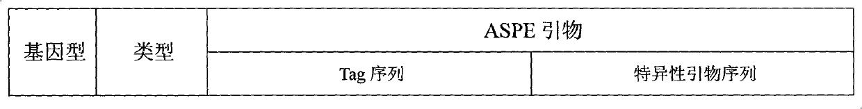 Specific primmer and liquid phase chip for SLCO1B1 gene SNP detection