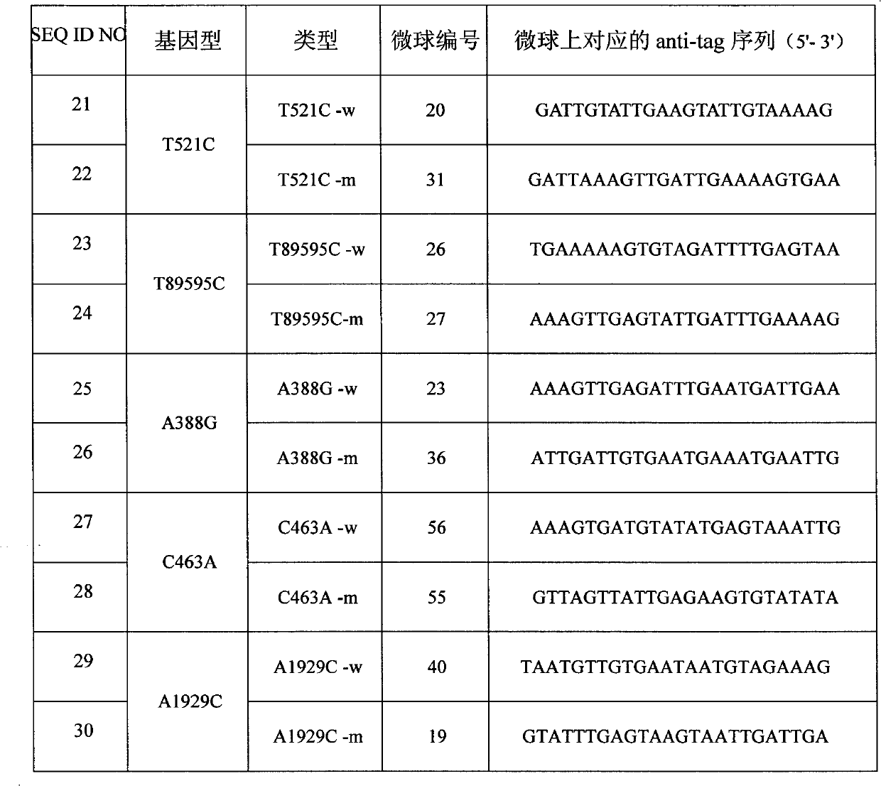 Specific primmer and liquid phase chip for SLCO1B1 gene SNP detection