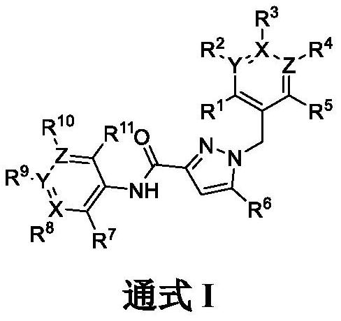 Pyrazole carboxamide derivative and preparation method and application thereof