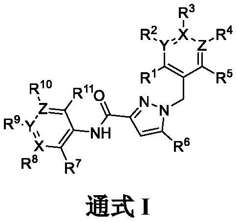 Pyrazole carboxamide derivative and preparation method and application thereof