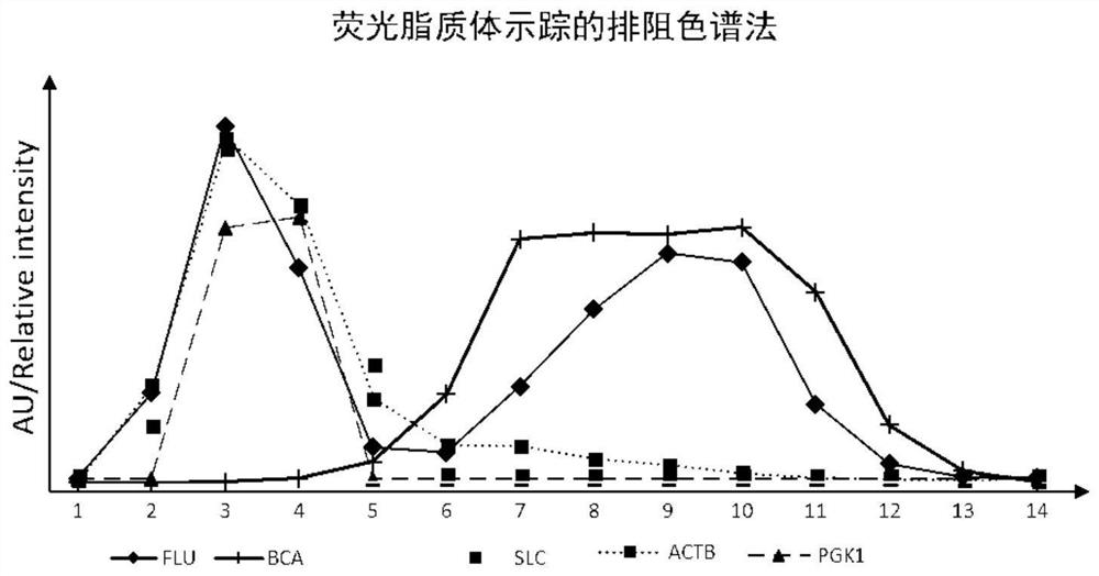 Extracellular Vesicle Isolation and Enrichment Method Based on Size Exclusion Chromatography and Ultrafiltration