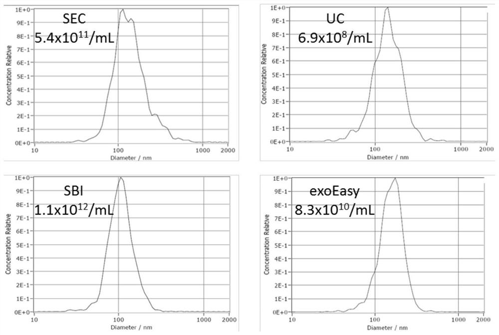 Extracellular Vesicle Isolation and Enrichment Method Based on Size Exclusion Chromatography and Ultrafiltration