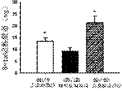 Rhein compound or application of salt thereof in preparing drugs preventing and curing hypofunction of islet beta cell