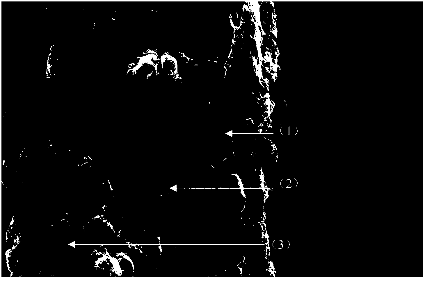 Palladium-based membrane with surface covered by molecular sieve membrane and preparation method thereof