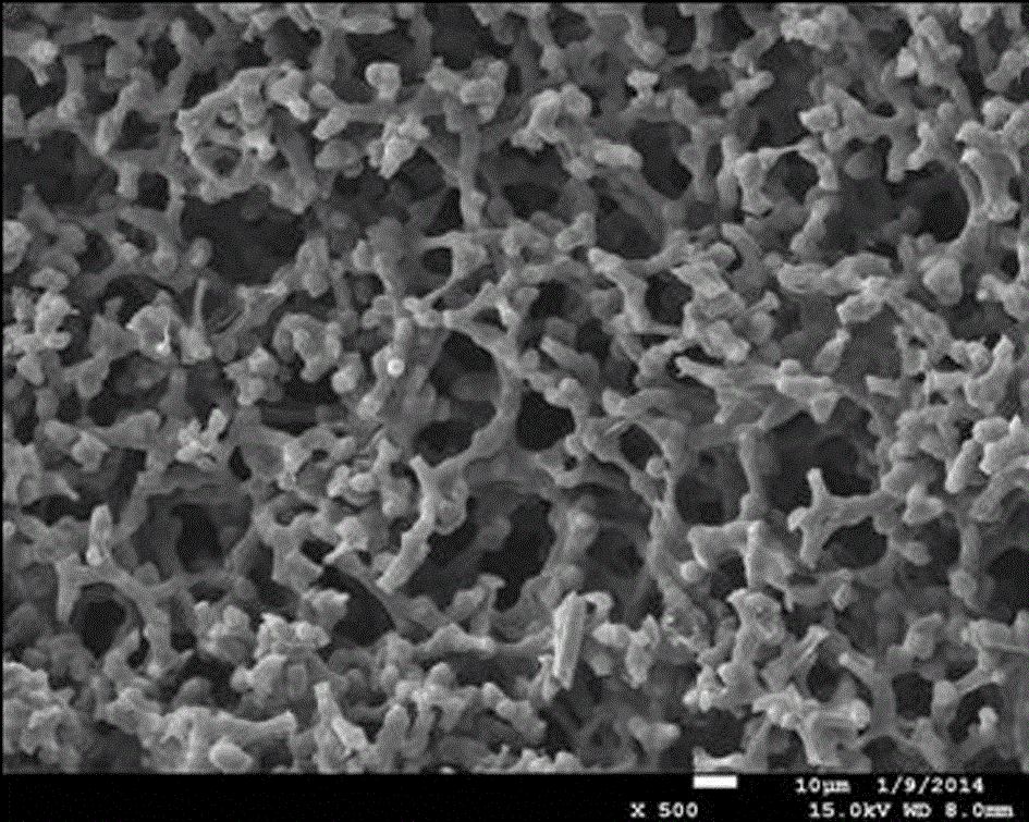 A preparation method of a macroporous organic-inorganic hybrid monolithic column with a hydrophilic outer surface