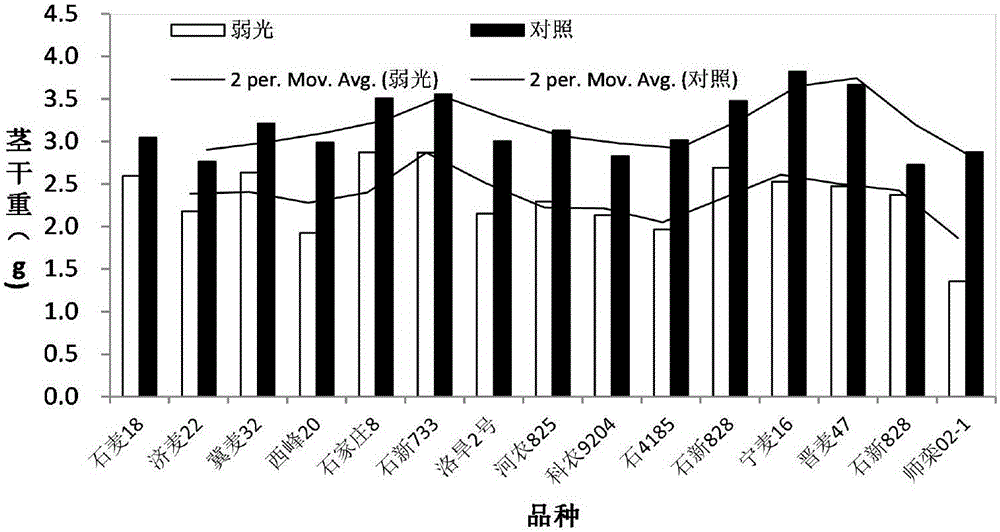 A method of screening and selecting crops resistant to low light