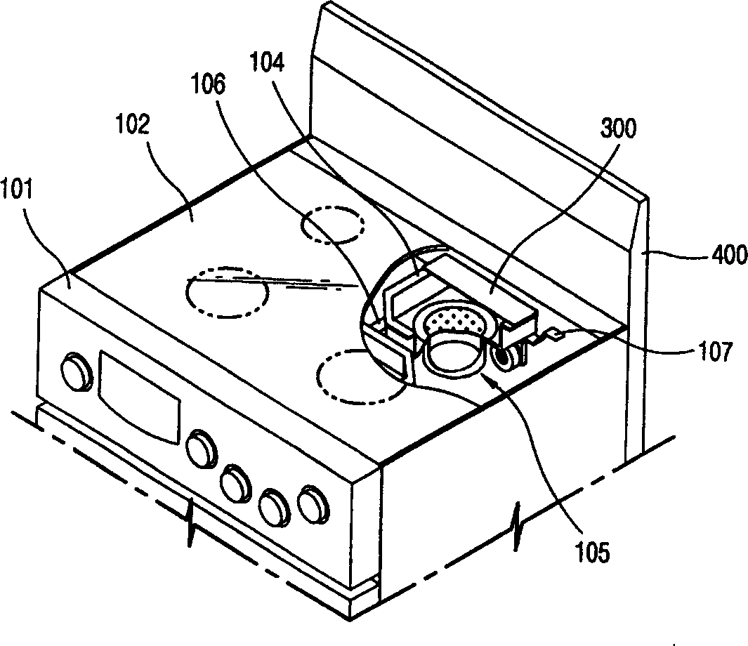 Heat separating structure for gas burning radiation roaster