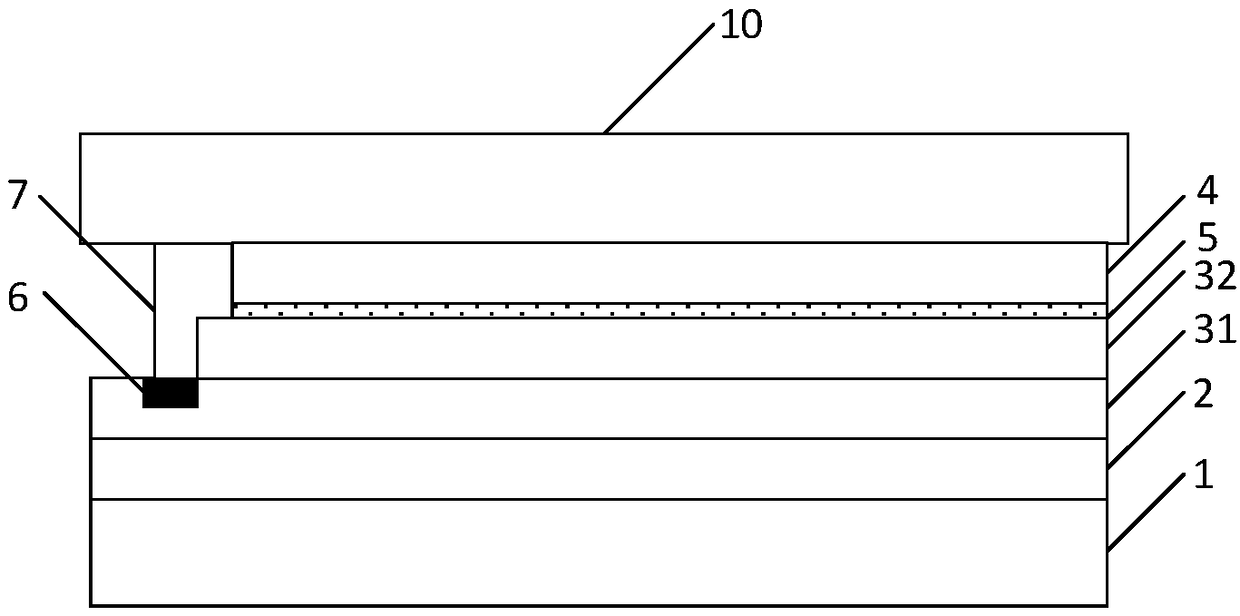 Display module and terminal