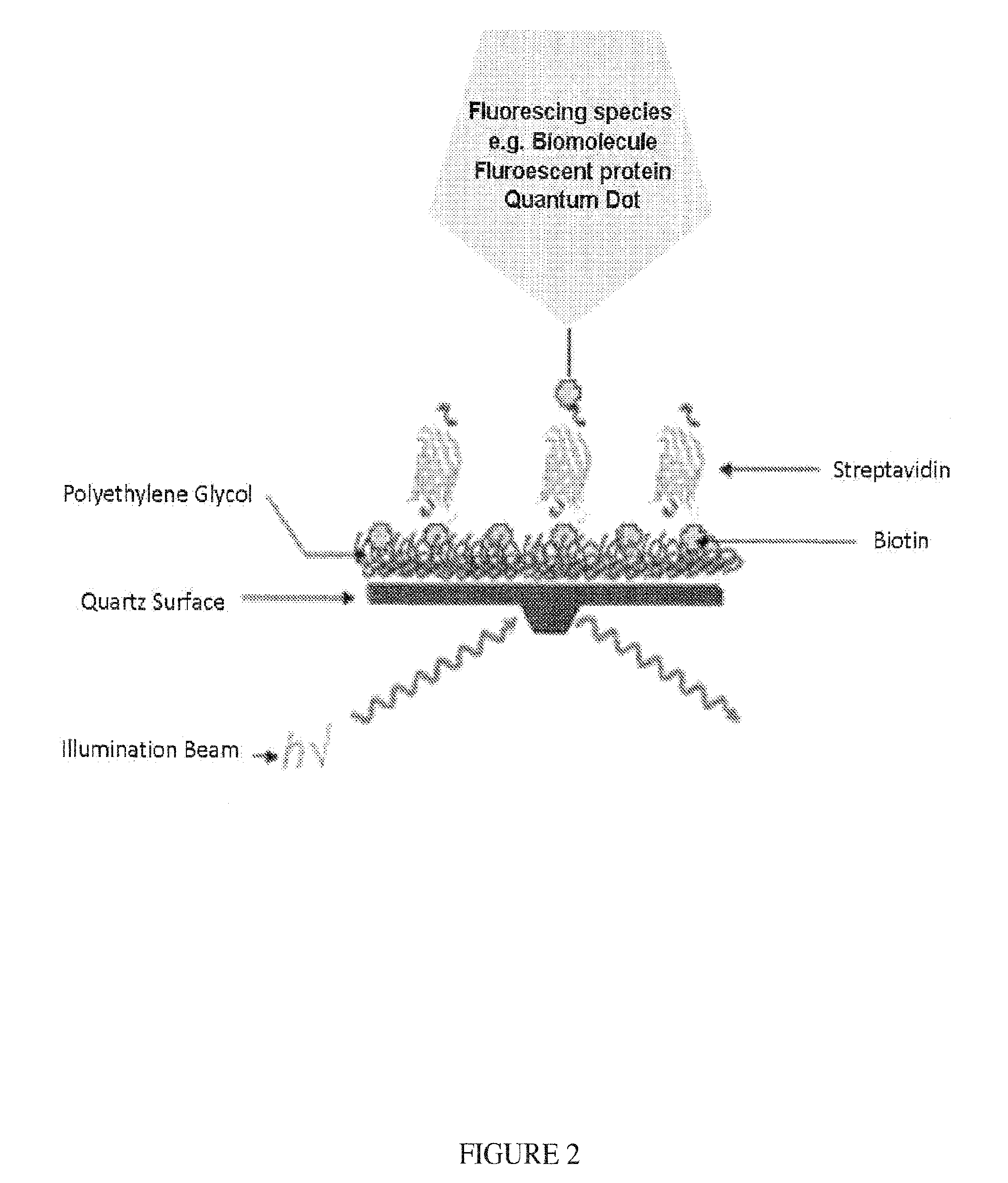 Methods and compositions for altering photophysical properties of fluorophores via proximal quenching