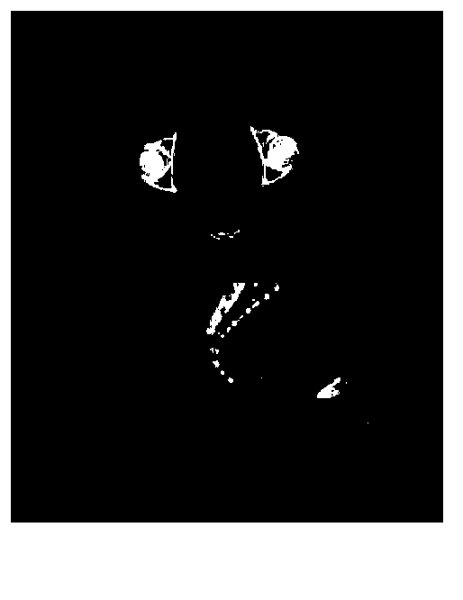 Method for generating distribution image used for observing cervix tumour radiotherapy total dose