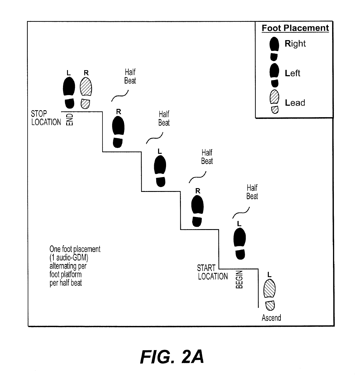 Equipment, system and method for improving exercise efficiency in a cardio-fitness machine